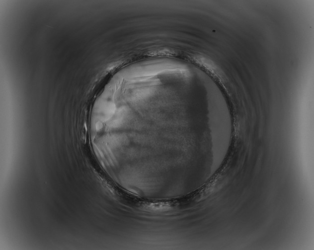 X0000086010353200704131833