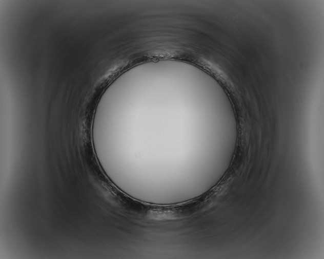 X0000086010354200704131833