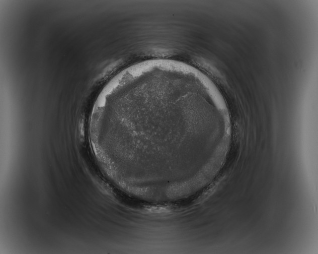 X0000086010358200704131833