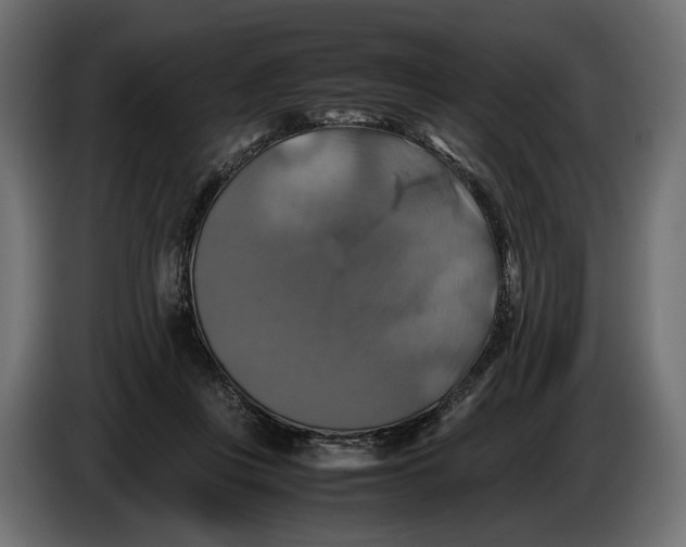 X0000086010359200704131833