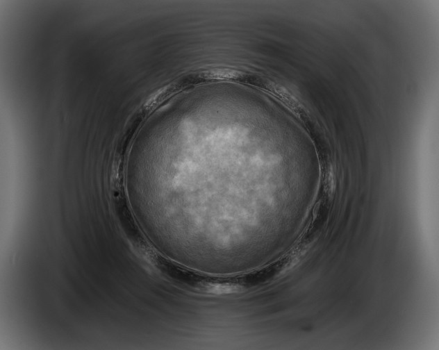 X0000086010360200704131833