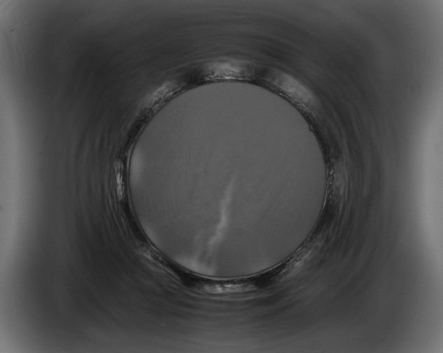 X0000086010361200704131833