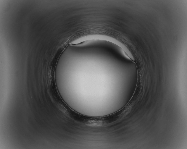 X0000086010362200704131833