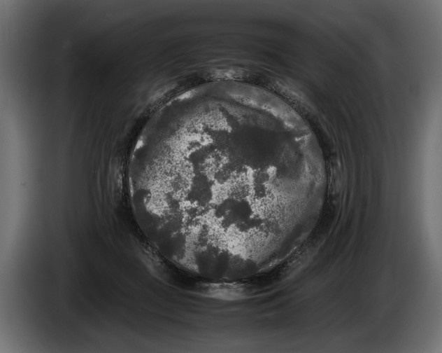 X0000086010363200704131833