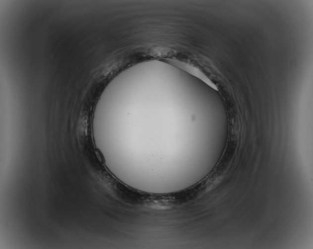 X0000086010368200704131833