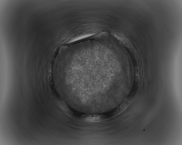 X0000086010369200704131833