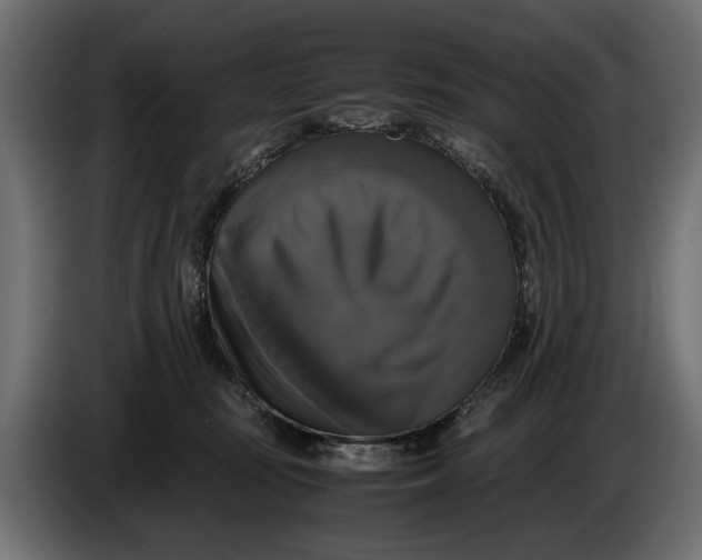 X0000086010371200704131833