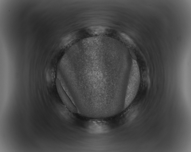 X0000086010372200704131833