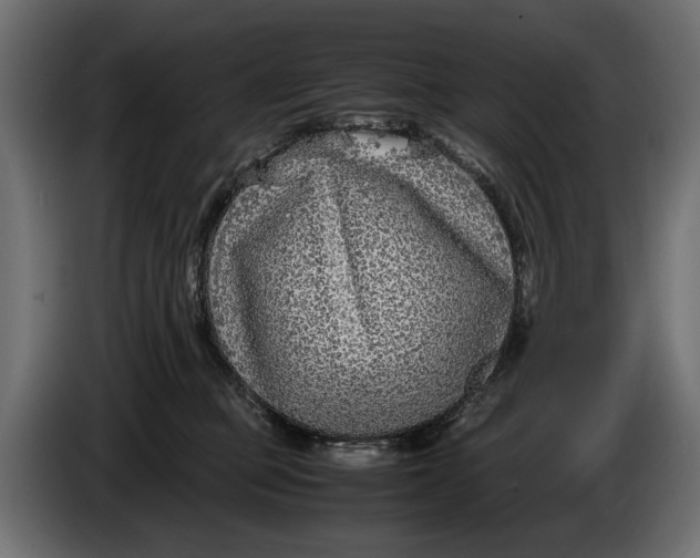 X0000086010373200704131833