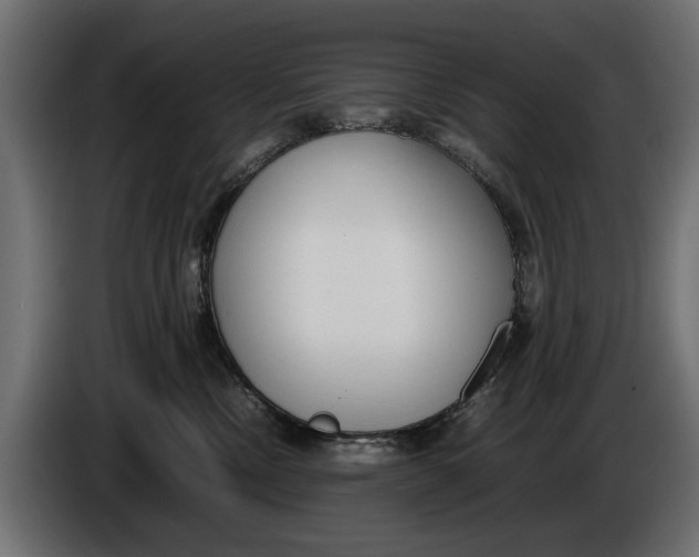 X0000086010378200704131833