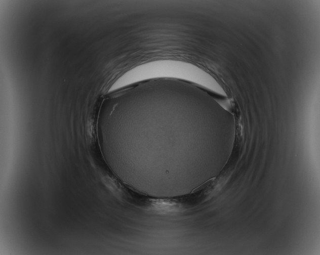 X0000086010380200704131833