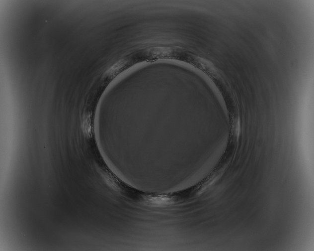 X0000086010383200704131833