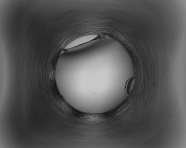 X0000086010384200704131833
