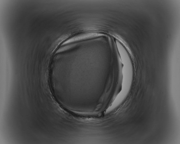 X0000086010385200704131832
