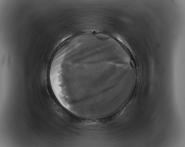 X0000086010386200704131832