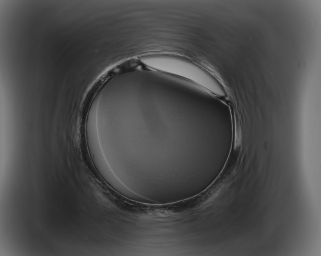 X0000086010387200704131832