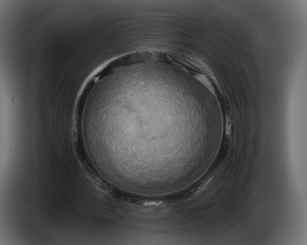 X0000086010388200704131832