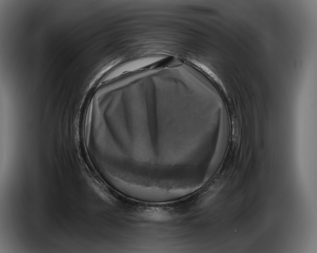 X0000086010390200704131832