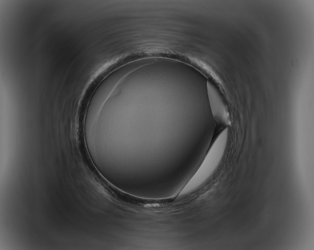 X0000086010391200704131832