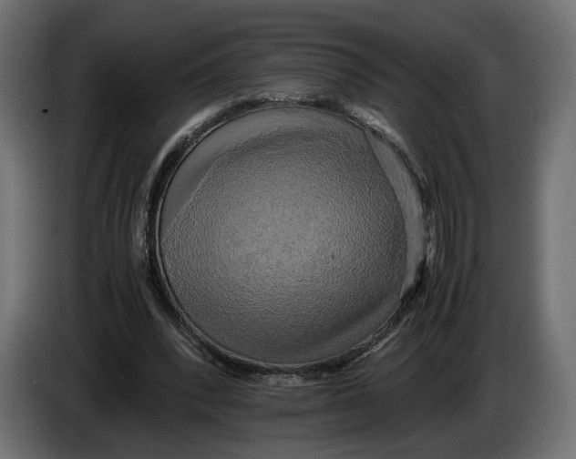 X0000086010392200704131832