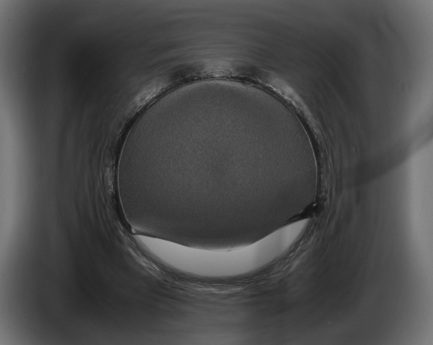 X0000086010393200704131832
