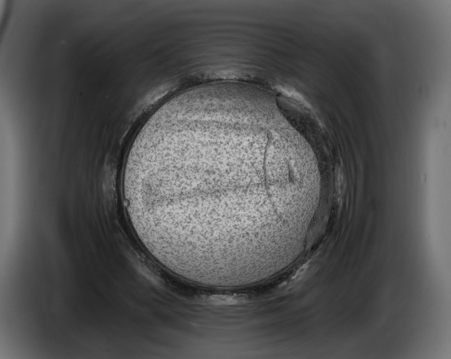 X0000086010394200704131832