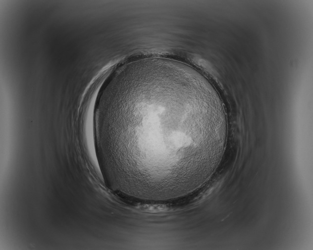 X0000086010395200704131832