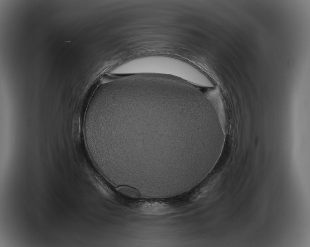 X0000086010397200704131832