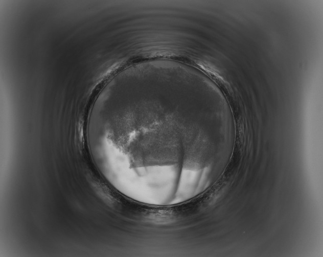 X0000086010398200704131832