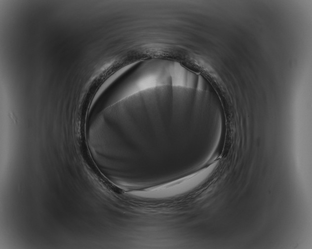 X0000086010399200704131832