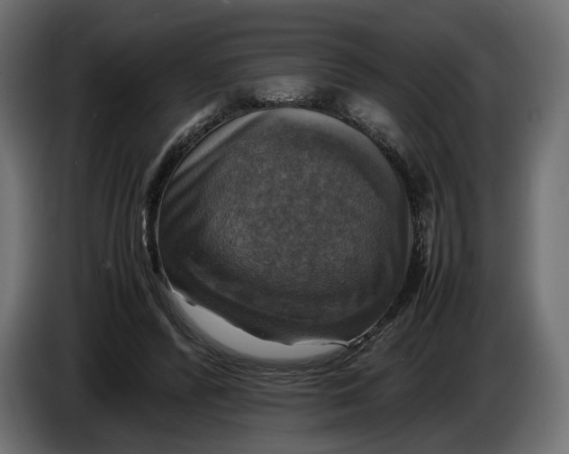 X0000086010400200704131832