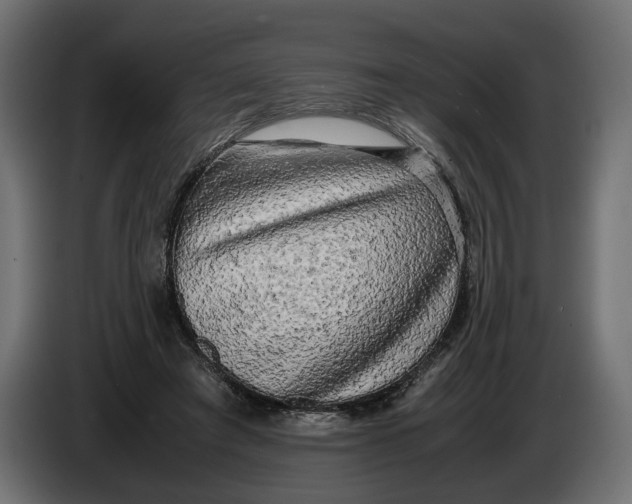 X0000086010401200704131832