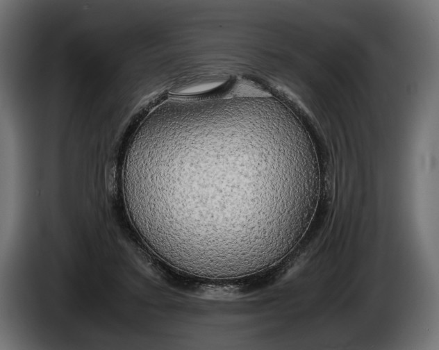 X0000086010403200704131832