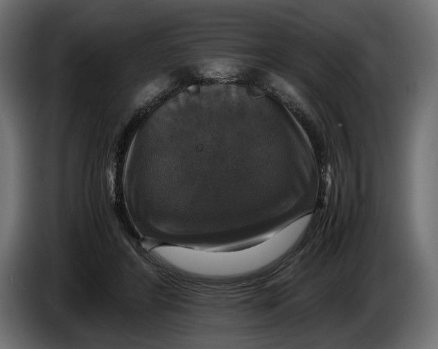 X0000086010404200704131832