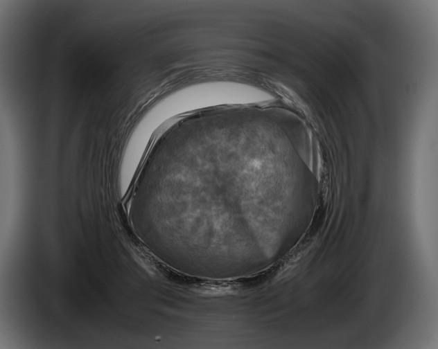 X0000086010405200704131832