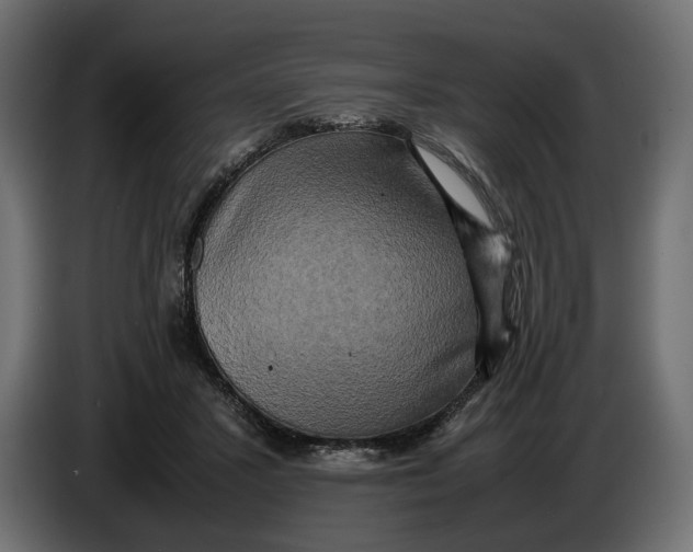 X0000086010407200704131832