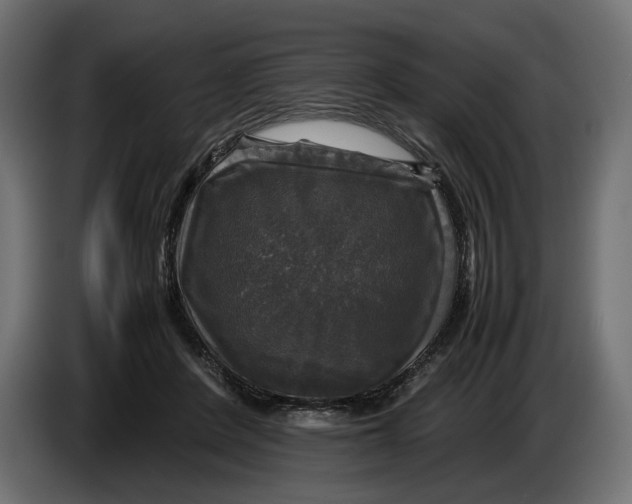 X0000086010408200704131832