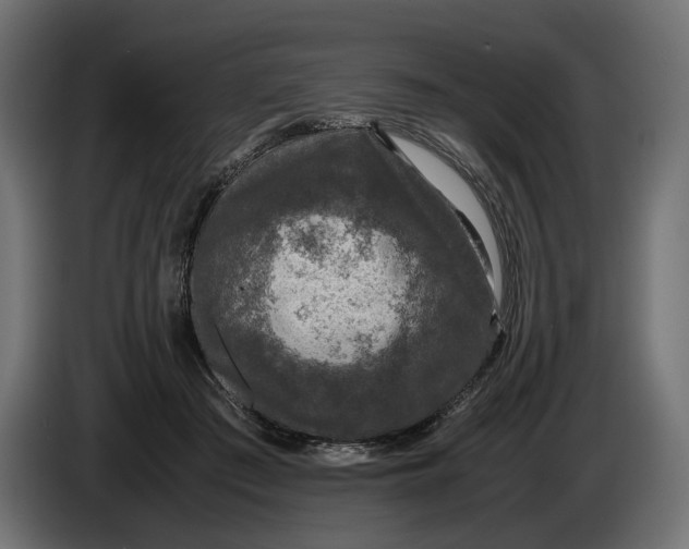 X0000086010409200704131832