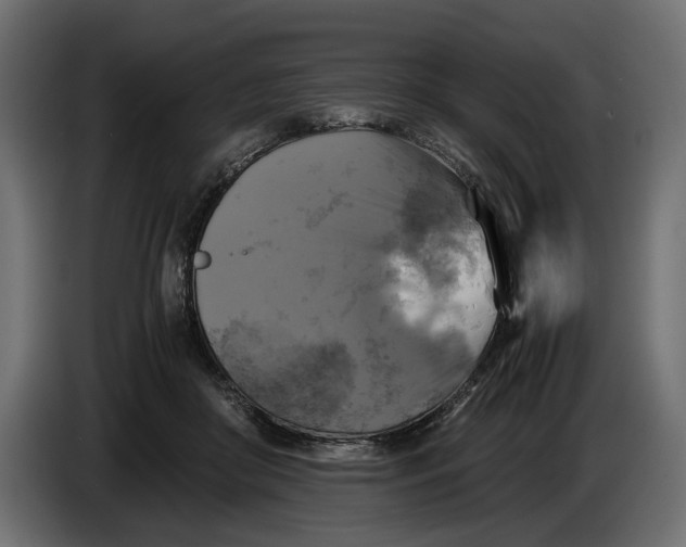 X0000086010410200704131832