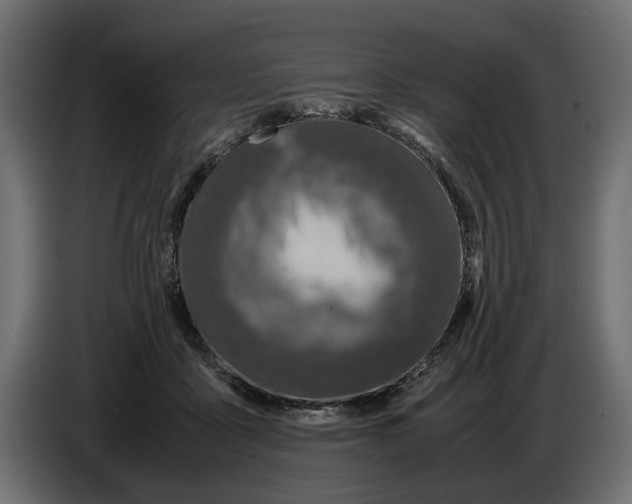X0000086010411200704131832
