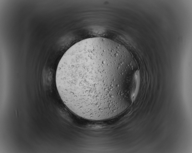 X0000086010412200704131832