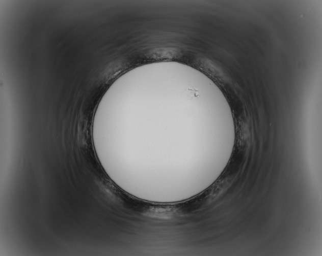 X0000086010414200704131832