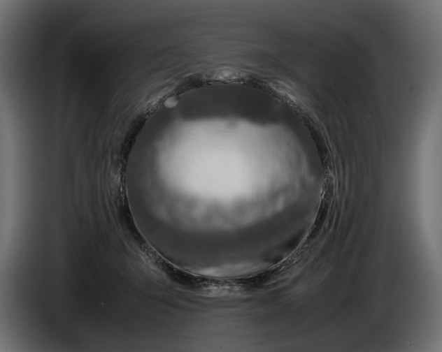 X0000086010415200704131832