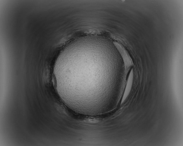 X0000086010416200704131832