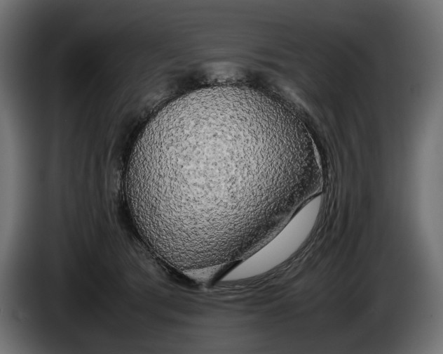 X0000086010417200704131832