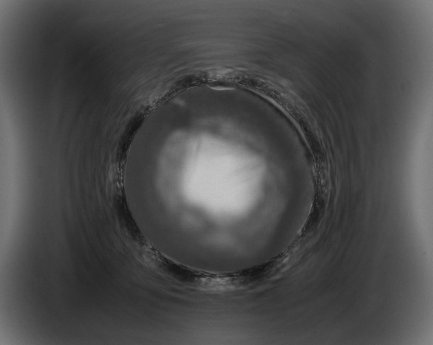 X0000086010419200704131832