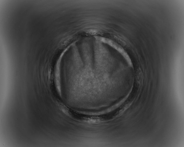X0000086010420200704131832