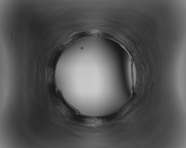 X0000086010421200704131832