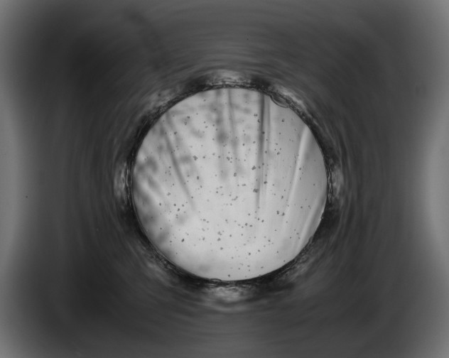 X0000086010423200704131832