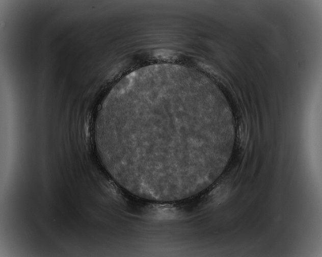 X0000086010424200704131832